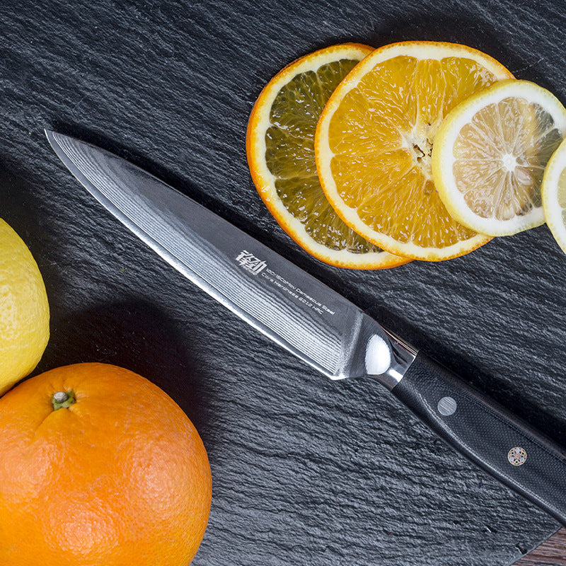 Damascus 5 Inch Fruit Knife  Multi-Purpose Peeling Knife - KingCutlery